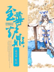 至尊炉鼎