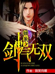 网游之剑气无双