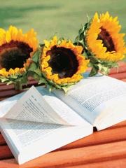 穿越之忘情窃爱