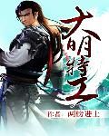 大明特工