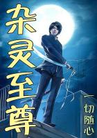 杂灵至尊