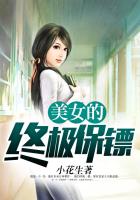 美女的终极保镖
