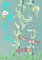 重生之夭