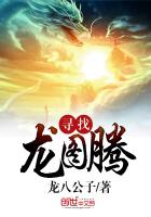 寻找龙图腾