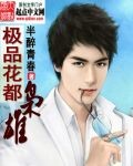 极品花都枭雄