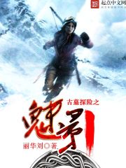 古墓探险之魅影
