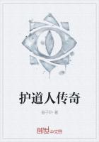 护道人传奇