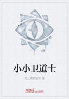 小小卫道士