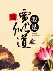 我是贾似道