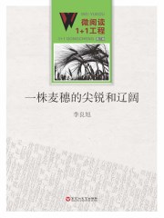 一株麦穗的尖锐和辽阔