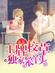 王牌校草独家笨丫头