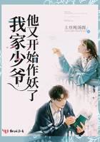 我家少爷他又开始作妖了